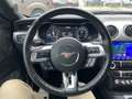 Ford Mustang 5.0 i V8 Boite MANU - Fastback - Garantie Bleu - thumbnail 15