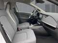 Renault ZOE R110 Evolution EV50 Apple CarPlay PDC BT Weiß - thumbnail 8