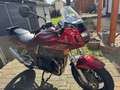 Suzuki Bandit 1200 GSF Rojo - thumbnail 3