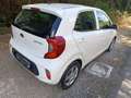 Kia Picanto 1.0 Active bluetooth Gpl - thumbnail 5