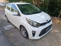 Kia Picanto 1.0 Active bluetooth Gpl - thumbnail 2