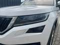 Skoda Kodiaq 2.0 TDI Style 125 4x4 mit neuen Zahrriemen Weiß - thumbnail 11