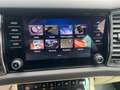 Skoda Kodiaq 2.0 TDI Style 125 4x4 mit neuen Zahnriemen Weiß - thumbnail 27