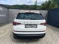Skoda Kodiaq 2.0 TDI Style 125 4x4 mit neuen Zahrriemen Weiß - thumbnail 5
