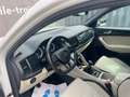Skoda Kodiaq 2.0 TDI Style 125 4x4 mit neuen Zahnriemen Weiß - thumbnail 16