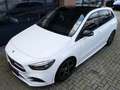 Mercedes-Benz B 250 4Mat. AMG+Night.ACC,360°,Pano,Belüft.Burm. Weiß - thumbnail 5