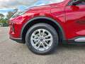 Ford Kuga Active X PHEV+LMF+LED+DAB+B&O+PDC+ACC+KeyFree Rot - thumbnail 13