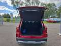 Ford Kuga Active X PHEV+LMF+LED+DAB+B&O+PDC+ACC+KeyFree Rot - thumbnail 9