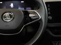 Skoda Fabia 1.0 MPI Essence 59kW Plateado - thumbnail 12