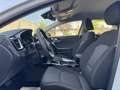 Kia Ceed / cee'd SW 1.6 CRDi DCT7 Vision   ACC   RFK   DAB+ Blanc - thumbnail 7