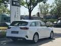 Kia Ceed / cee'd SW 1.6 CRDi DCT7 Vision   ACC   RFK   DAB+ Blanc - thumbnail 6
