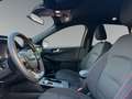 Ford Kuga 2,0 Hybrid ST-Line  8-fach bereift! AHK! Schwarz - thumbnail 9