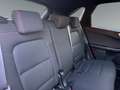 Ford Kuga 2,0 Hybrid ST-Line  8-fach bereift! AHK! Schwarz - thumbnail 14