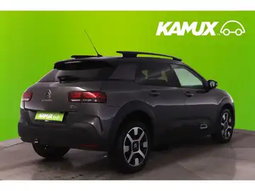 künstliche bonsai kaufen Künstlicher Ficus Bonsai - Yui | 32 cm