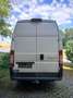 Fiat Ducato Ducato  L2H2 Blanc - thumbnail 4