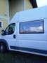 Fiat Ducato Ducato  L2H2 Blanc - thumbnail 2