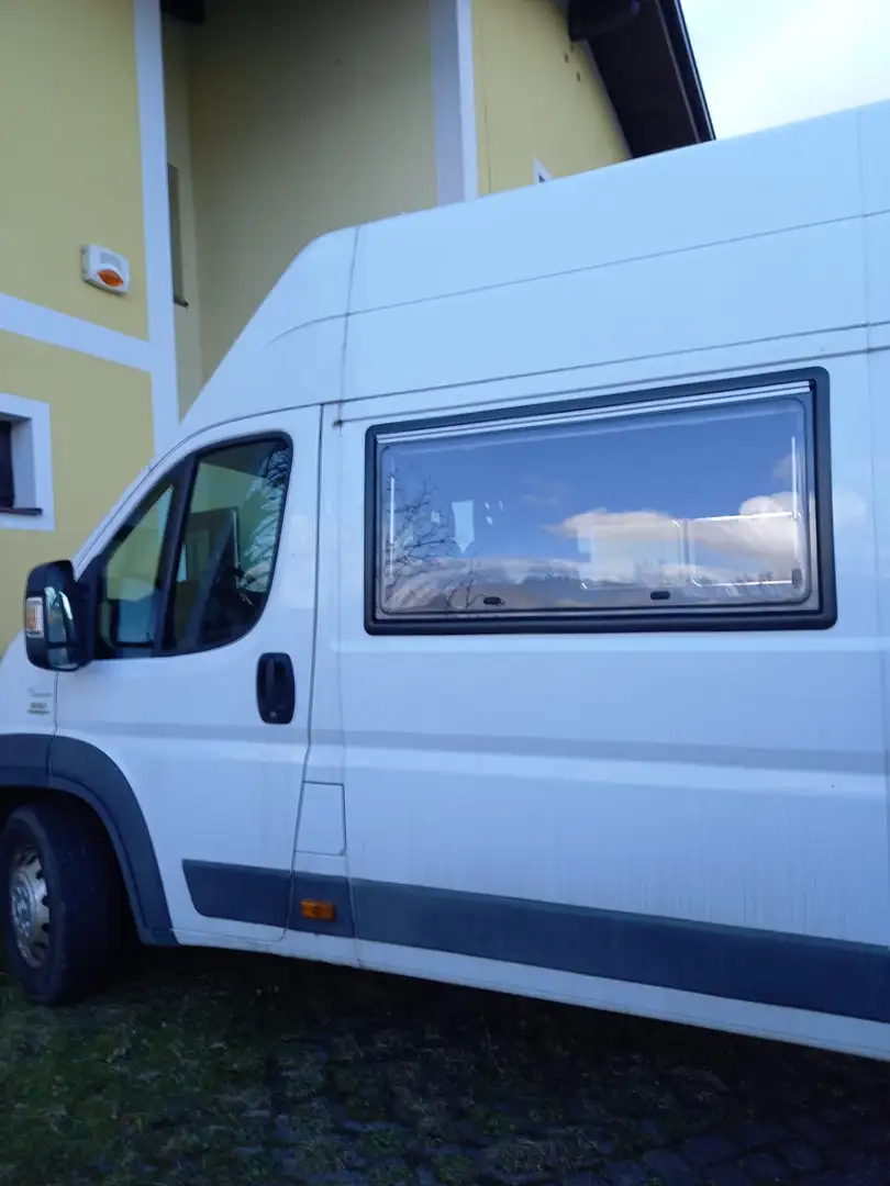 Fiat Ducato Ducato  L2H2 Blanc - 2