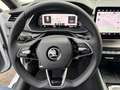 Skoda Octavia Combi 2.0 TDI 110 kW DSG Sportline Weiß - thumbnail 16