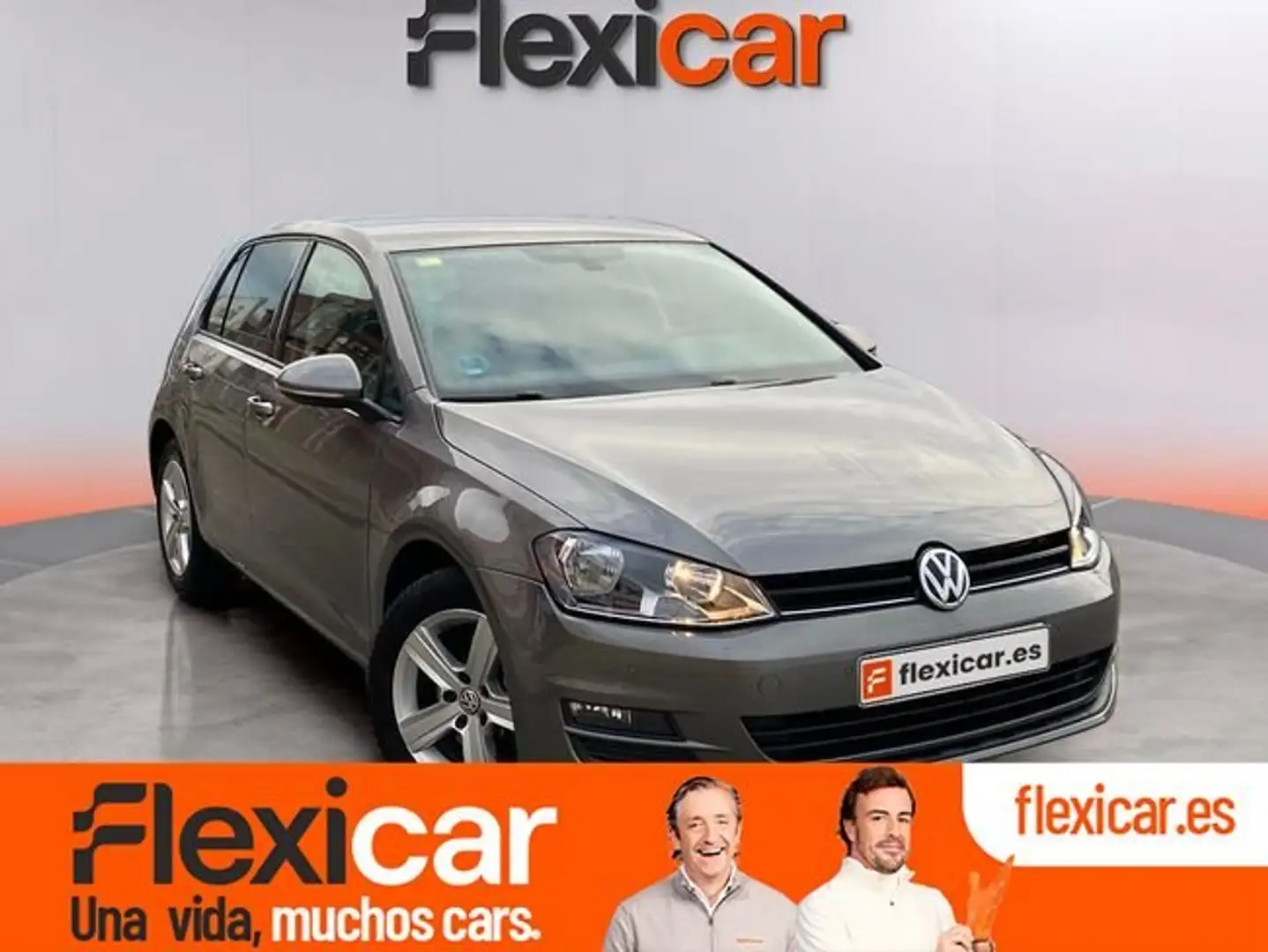 Volkswagen Golf 1.6TDI CR BMT Advance 110 Gris - 1
