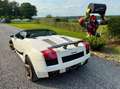Lamborghini Gallardo Spyder 5.0i V10 40v Weiß - thumbnail 8