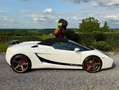 Lamborghini Gallardo Spyder 5.0i V10 40v Weiß - thumbnail 15