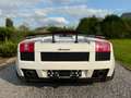 Lamborghini Gallardo Spyder 5.0i V10 40v Weiß - thumbnail 13