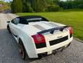 Lamborghini Gallardo Spyder 5.0i V10 40v Weiß - thumbnail 9