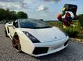 Lamborghini Gallardo Spyder 5.0i V10 40v Weiß - thumbnail 1