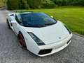 Lamborghini Gallardo Spyder 5.0i V10 40v Weiß - thumbnail 5