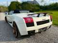 Lamborghini Gallardo Spyder 5.0i V10 40v Weiß - thumbnail 10