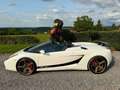 Lamborghini Gallardo Spyder 5.0i V10 40v Weiß - thumbnail 16