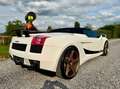 Lamborghini Gallardo Spyder 5.0i V10 40v Weiß - thumbnail 14