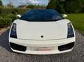 Lamborghini Gallardo Spyder 5.0i V10 40v Weiß - thumbnail 6