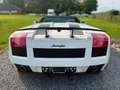 Lamborghini Gallardo Spyder 5.0i V10 40v Weiß - thumbnail 12