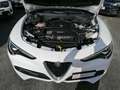 Alfa Romeo Stelvio executive - thumbnail 23