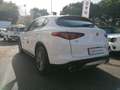 Alfa Romeo Stelvio executive - thumbnail 6