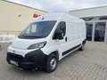Toyota Proace Max H2 Kasten 35 L3H2 BlueHDi 140 Prowork G Weiß - thumbnail 3
