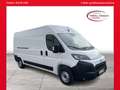 Toyota Proace Max H2 Kasten 35 L3H2 BlueHDi 140 Prowork G Weiß - thumbnail 1