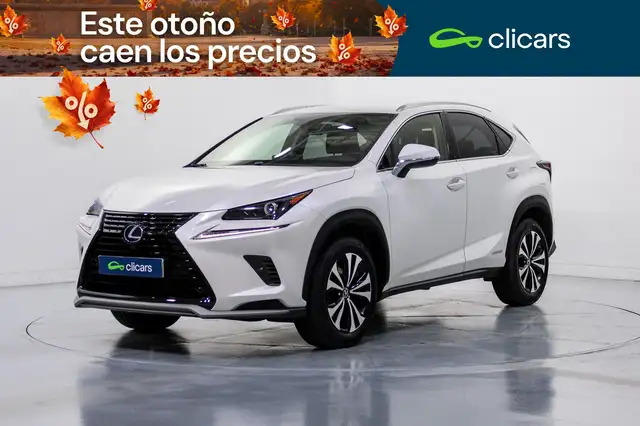 2021 Lexus NX in White for sale