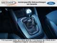 Ford Focus ST X Grün - thumbnail 13