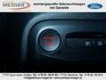 Ford Focus ST X Grün - thumbnail 12