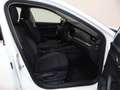 Skoda Octavia 2.0TDI Selection DSG 110kW Bianco - thumbnail 5