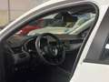 Renault Clio TCe GLP Business 74kW Blanco - thumbnail 17