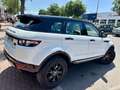 Land Rover Range Rover Evoque 2.2L TD4 Dynamic 4x4 Aut. Blanc - thumbnail 6