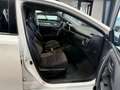 Toyota Auris Sports Hybrid 1-Hand/Klimaauto/Automatik Weiß - thumbnail 12