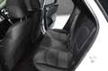 Kia Ceed / cee'd TOURER 1.6 MHEV IMT 100KW DRIVE Weiß - thumbnail 19