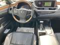 Lexus ES 300 Híbrido - thumbnail 11