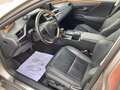 Lexus ES 300 Híbrido - thumbnail 22