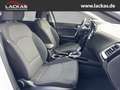 Kia Ceed SW / cee'd SW Kombi Vision 1.4 AUTOMATIK+NAVI+PDC+AHK Weiß - thumbnail 18
