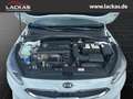 Kia Ceed SW / cee'd SW Kombi Vision 1.4 AUTOMATIK+NAVI+PDC+AHK Weiß - thumbnail 20